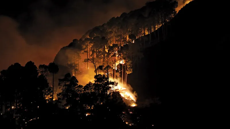 Un incendiu de pădure în Ramsoo, India, în ianuarie 2021