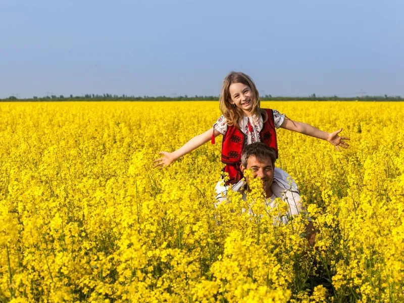 Șoferii care opresc pe drum să facă poze în rapiță riscă amenzi foarte mari. Scrie în Codul Rutier foto: itcseeds.ro(fotografie cu caracter ilustrativ)