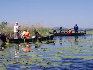 Lăcustele au invadat Delta Dunării. Pescarii au rămas fără cuvinte când au văzut insecteleFoto: Mecanturist (fotografie cu caracter illustrativ)