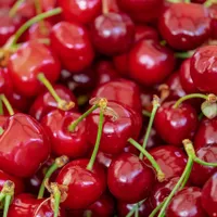 Cireșe la preț redus - Foto: Pixabay/  Couleur