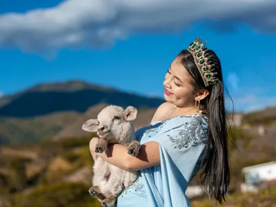 De unde vine obiceiul de a mânca miel de Paște - Foto: Pexels (imagine cu rol ilustrativ)