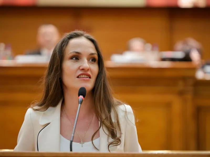 Oana Țoiu - Foto: Facebook / Oana Țoiu