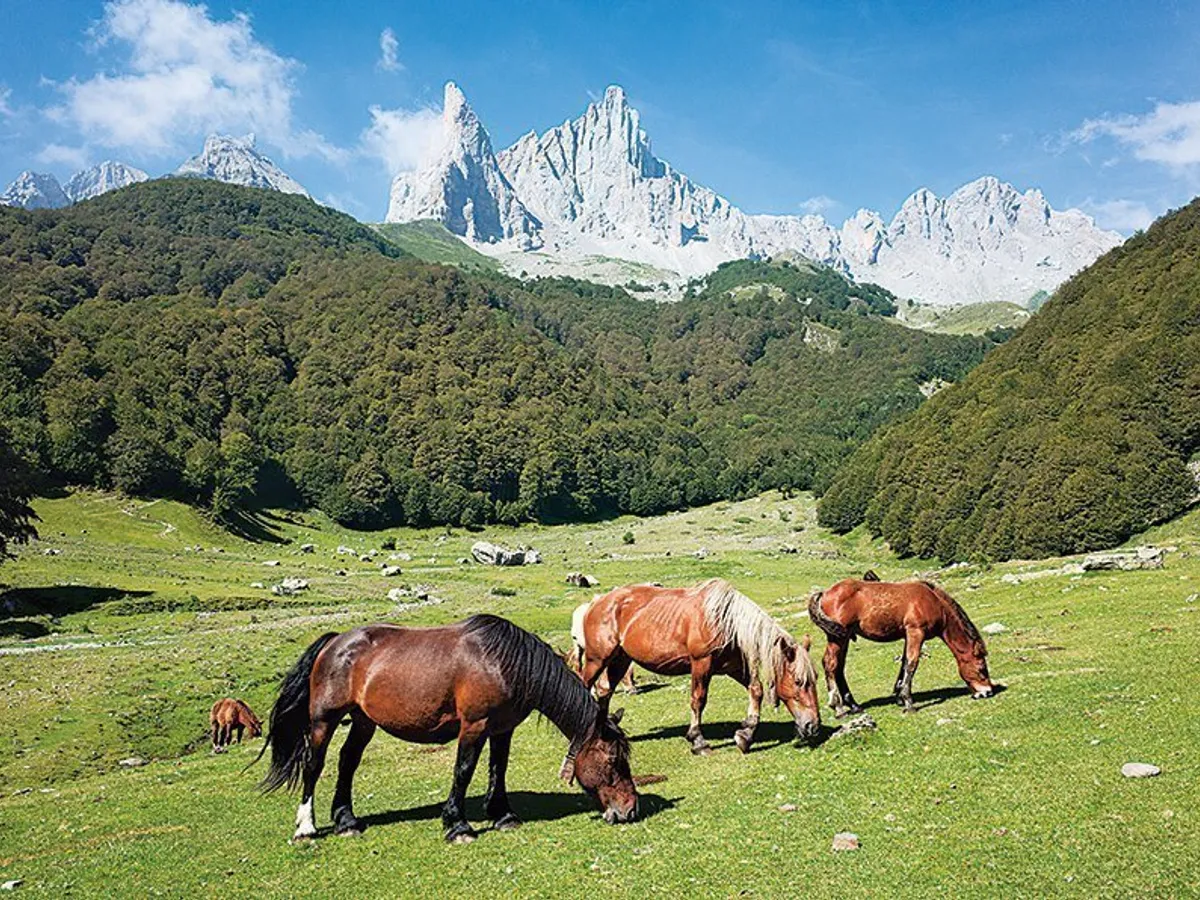 Munții Pirinei, Franța și Spania