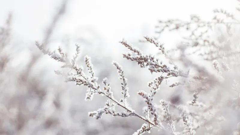 Vremea se schimbă în România. Temperaturile scad brusc și vin ninsorile Foto: Pexels (fotografie cu caracter ilsutrativ)