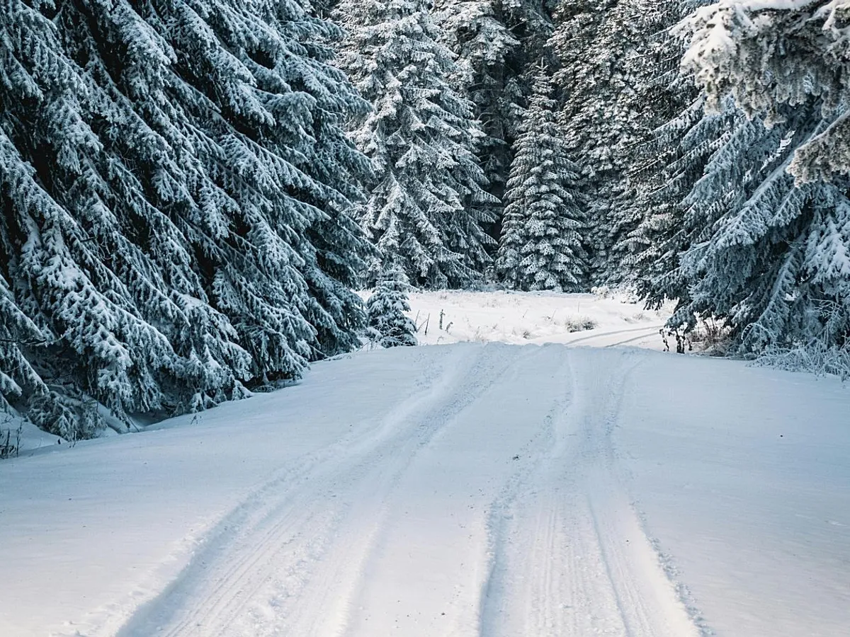 VIDEO METEO Salvamontul: Ninsori şi precipitaţii mixte în zona superioară a Masivului Bucegi