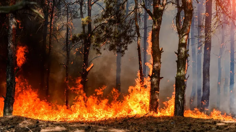 „Fantoma de foc”. Arma misterioasă cu care Ucrainia pur și simplu „rade” tranșeele rușilor - Foto: captură youtube (imagine cu caracter ilustrativ)