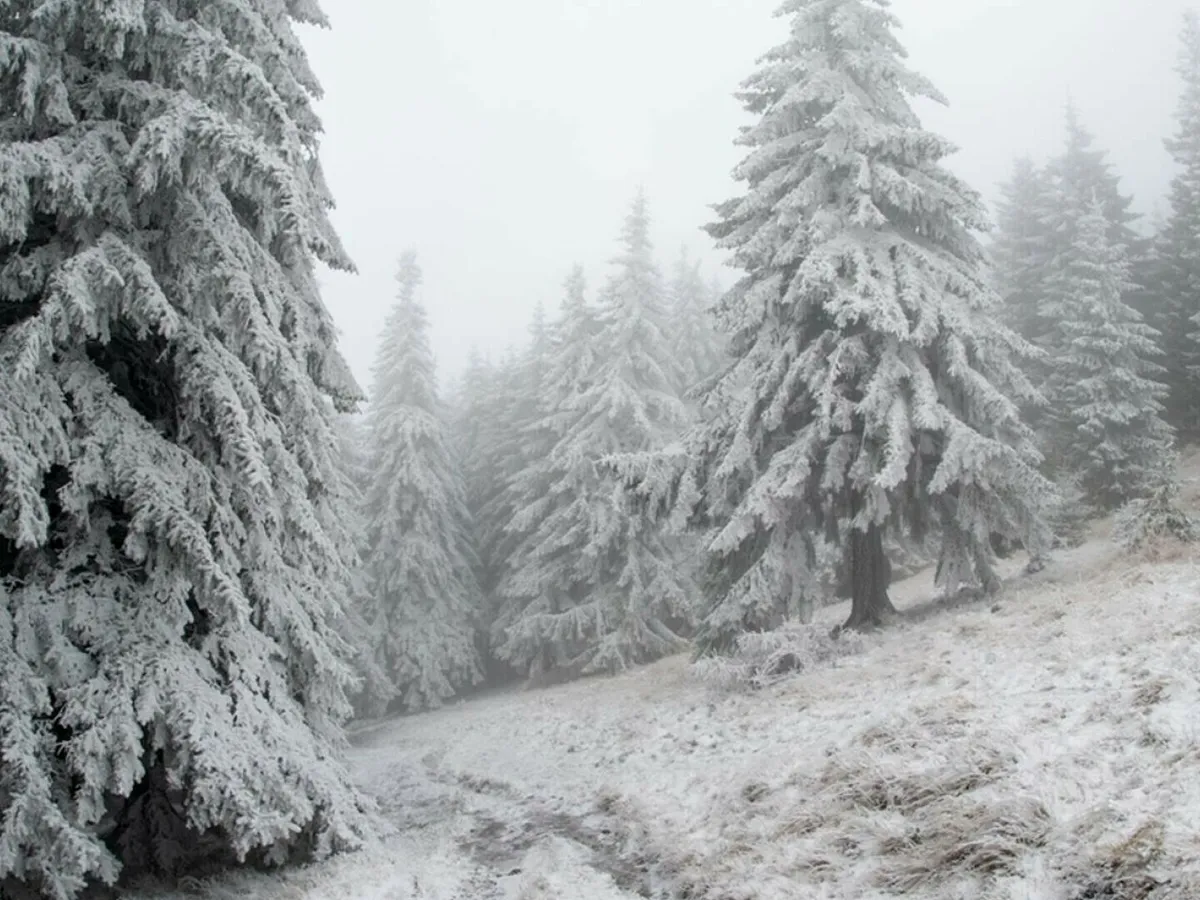 Zăpadă de 15–20 cm în Parâng, Retezat și Șureanu. Salvamontul cere prudență pe creste