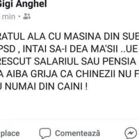 Postarea viceprimarului Anghel Foto: Facebook Gica Anghel