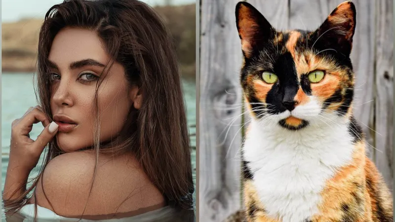 De ce nu au femeile pielea în trei culori ca pisicile Calico - Foto: Pexels / Arsham Haghani