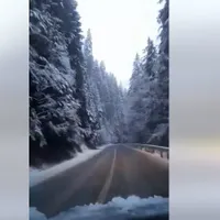 Sursă imagine: Facebook DRDP Brașov