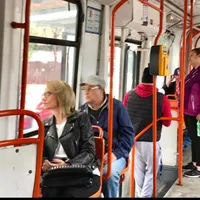 O licitație aiurea-n tramvai Foto: cancan