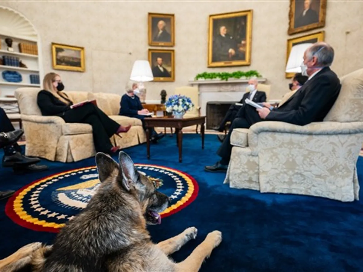 Champ în Biroul Oval/ sursă White House