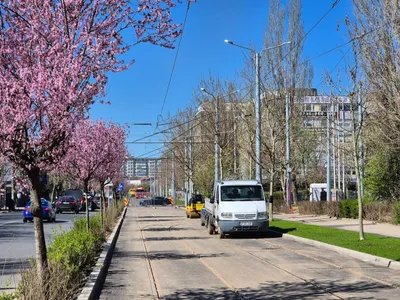 Lucrările de modernizare a liniei de 2 km a tramvaiului 3 de pe Bulevardul Expoziției - zona 1 Mai - Clăbucet din București - Foto: mobilitate.eu