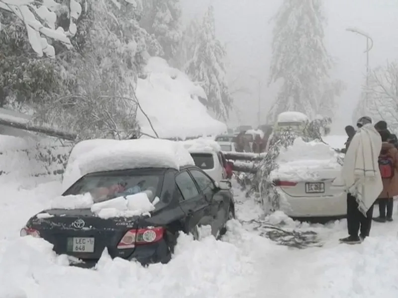 21 de turiști blocați în mașini au murit de frig /foto: reuters