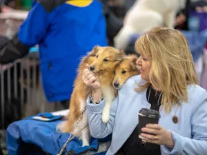 Numele ascuns care-ți schimbă viața: dacă îl dai câinelui tău, atragi norocul la bani în casă - Foto: Profimedia Images (imagine cu rol ilustrativ)