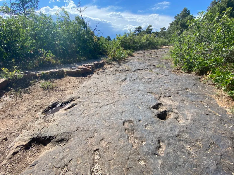 Dinozaurii, trei sferturi din plante și animale au fost distruse de un cataclism acum 66 mil. de ani Foto: Profimedia Images (fotografie cu caracter ilustrativ)