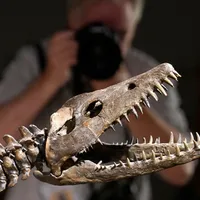 Scheletul dinozaurului Nessie - Foto: Profimedia Images