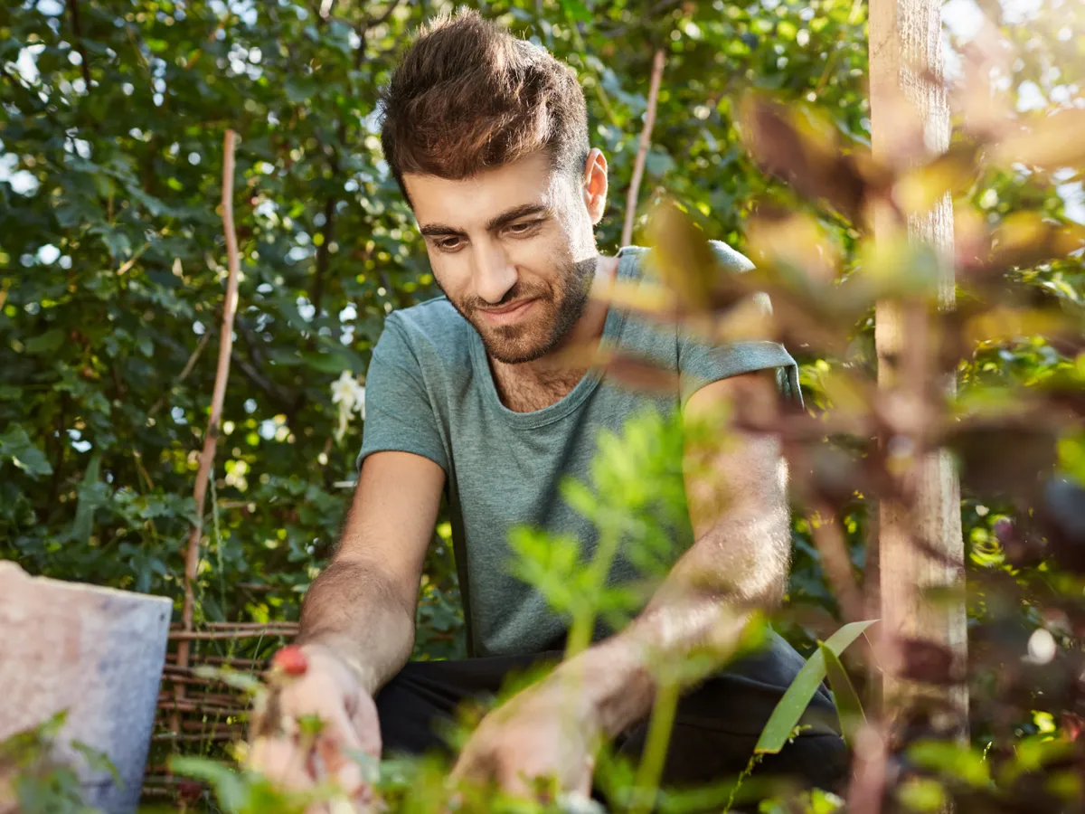 Greșeala care împedică pomii tineri să prindă rădăcini. Este importantă locația și perioada de plantare