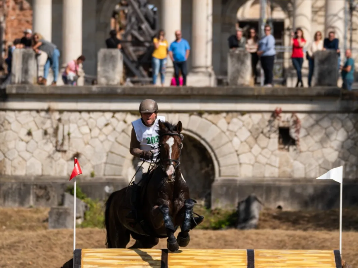 Karpatia Horse Show 2025  - Foto: Ștefan Stoica