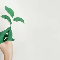 Cum își pot face un program climatic orașele din România? Pot primi și bani pentru un mediu curat Foto: Pexels (fotografie cu caracter ilustrativ)