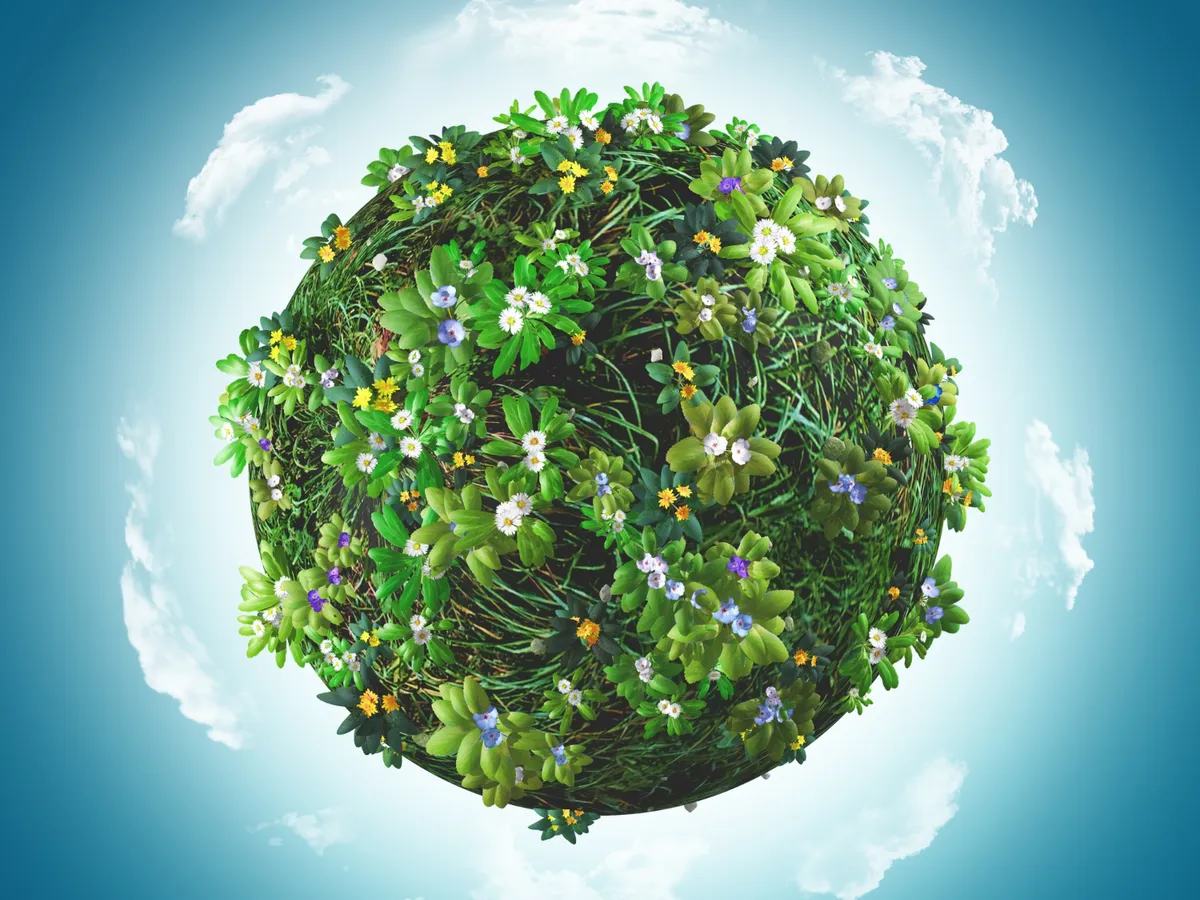 Ce se întâmplă cu planeta? Vegetația „fuge” spre nord cu 14 km pe an și poate avea un impact pozitiv