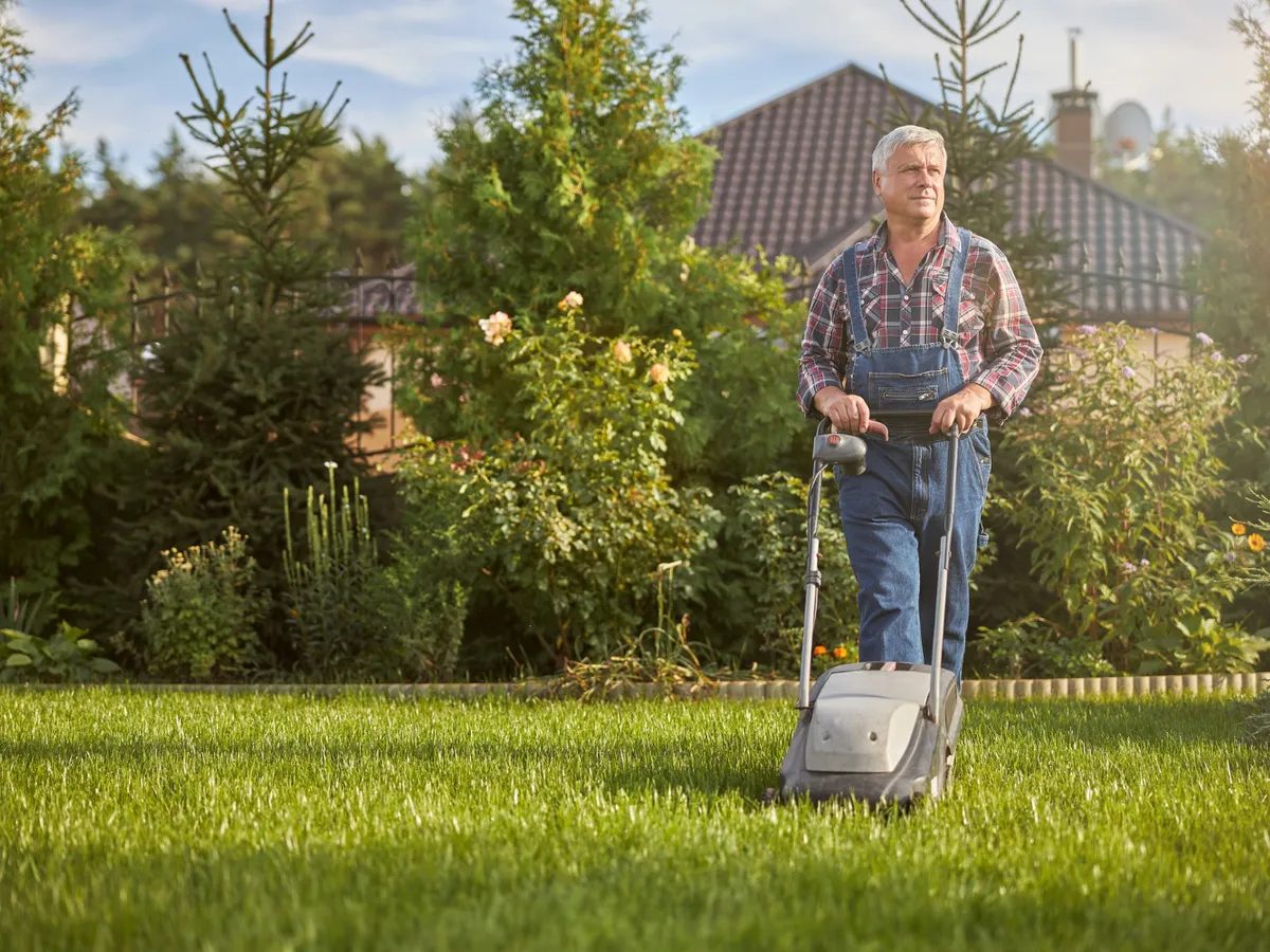 Soluția ieftină din bucătărie pe care o torni pe gazon în noiembrie. Costă 10 lei și te scapă de mușchi