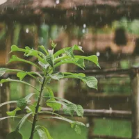 Fenomene meteo extreme, ploi, furtuni puternice şi intensificări ale vântului, în Grecia/FOTO: Unsplash