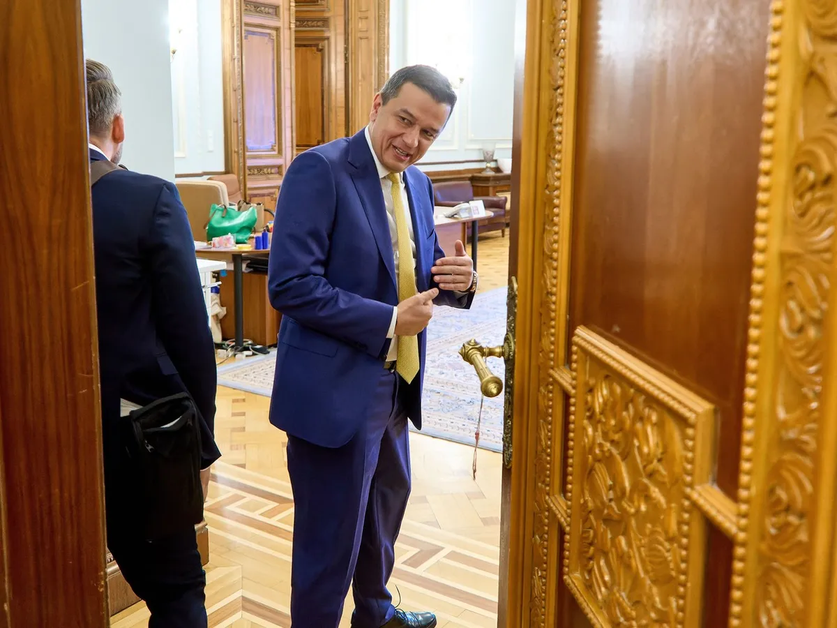 Sorin Grindeanu, președintele interimar PSD - Foto: Profimedia Images