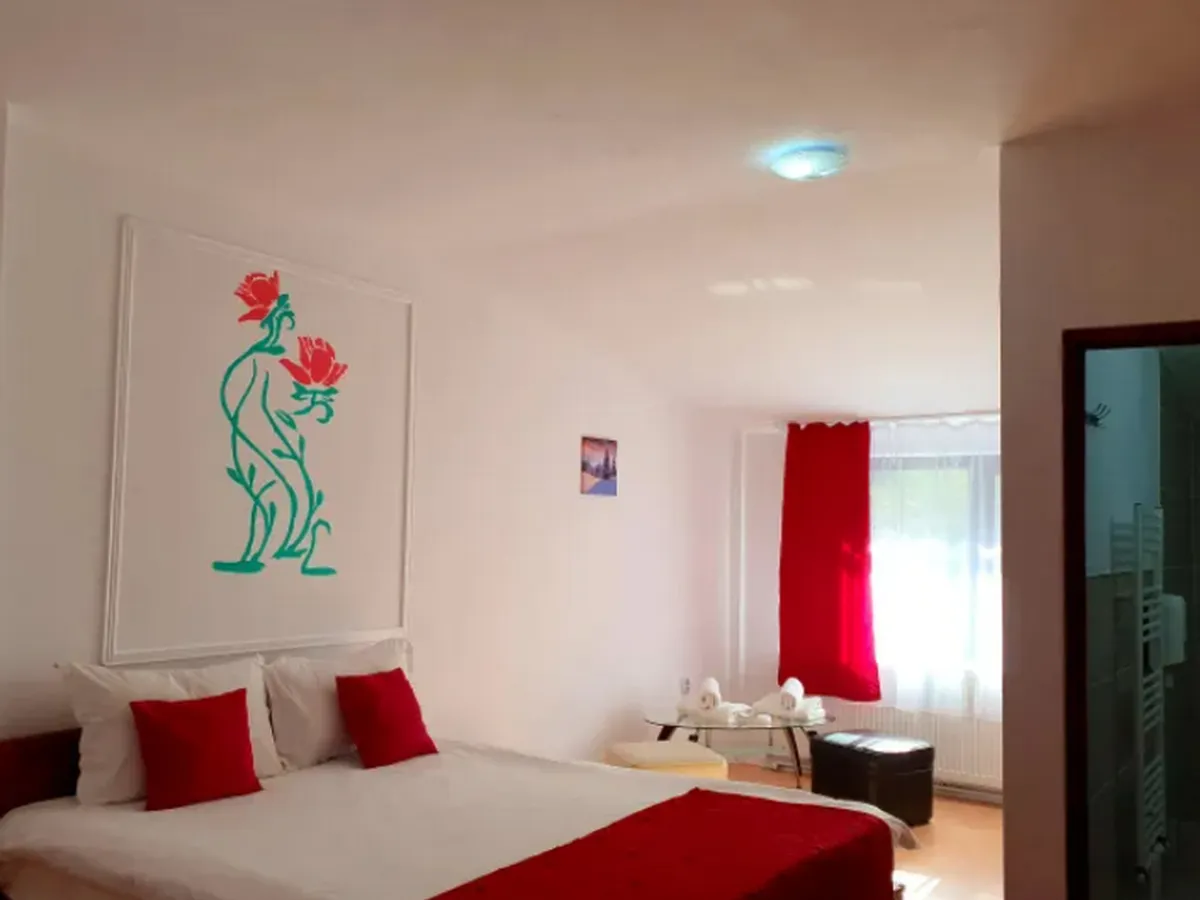 Cameră Pensiunea Izișoara Resort  - Foto: pensiuneaizisoararesort.com