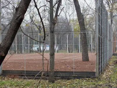 Unul dintre terenurile de tenis din Parcul Cireșarii a fost reamenajat cu tot cu copacul existent acolo Foto: Newsweek România