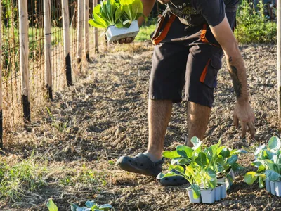 Mic fermier la muncă - Foto: Pexels/Gio Spigo