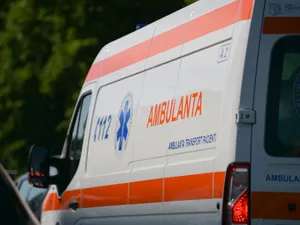 Un copil a ajuns la spital după ce a fost mușcat de mai mulți câini. În ce stare se află? - Foto: Arhiva (imagine cu rol ilustrativ)