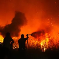 Turiști români evacuați în regiunea Kușadasi, din cauza incendiilor de vegetație. Avertismentul MAE  - Foto: Profimediaimages.ro