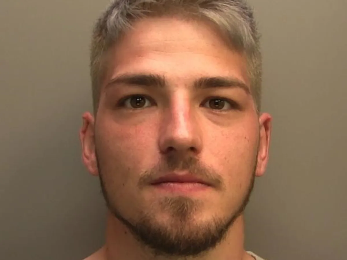 Mihai Birtu, (24 de ani), of Port Street, Evesham, trei ani și șapte luni de închisoare