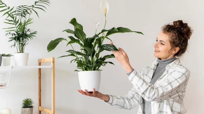 Produsul din dulap care îți menține plantele proaspete și verzi. Te protejează și de țânțari - Foto: Freepik (imagine cu rol ilustrativ)