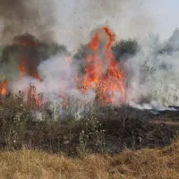 Incendiu la Chitila/FOTO: ISU