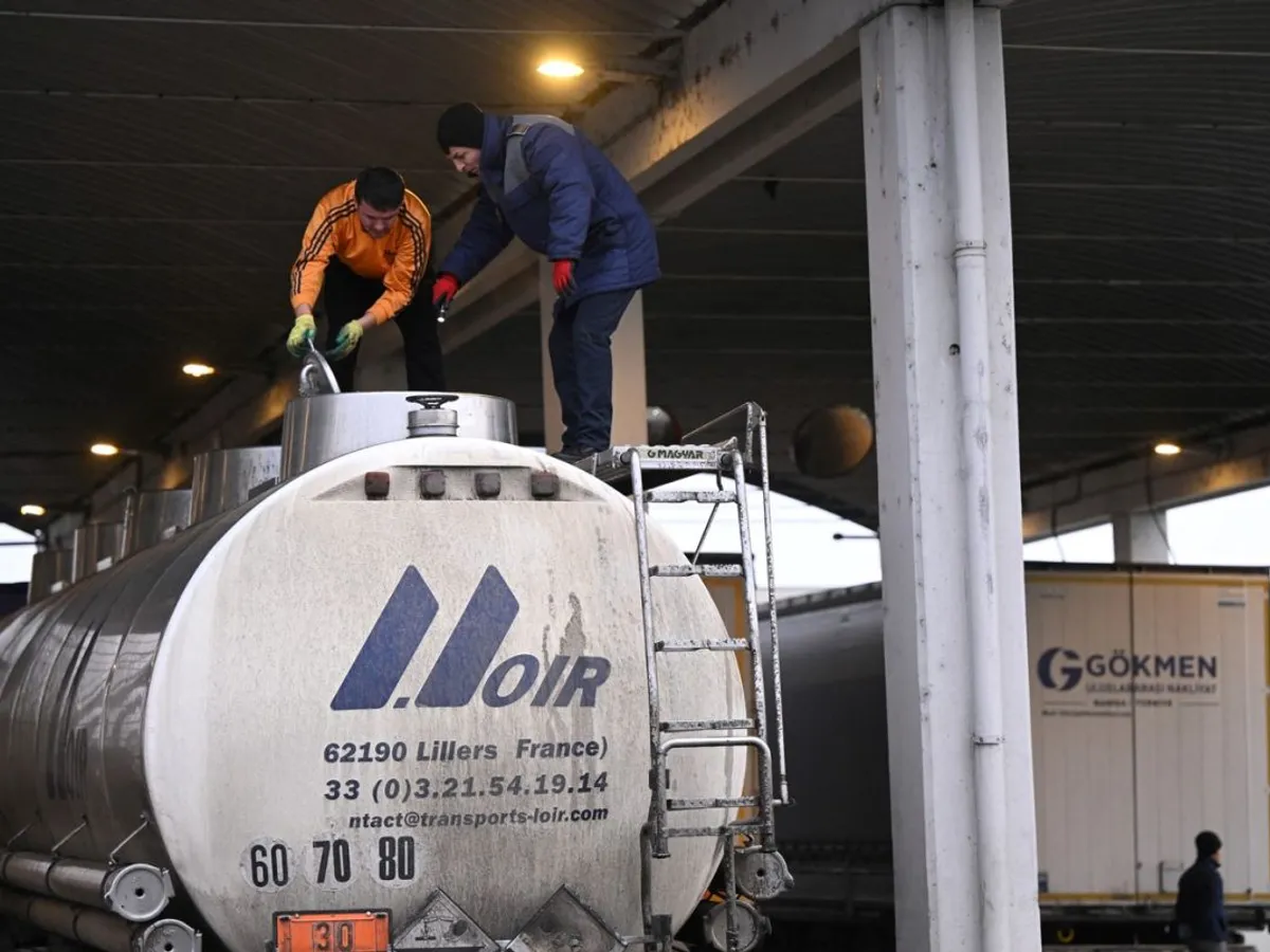 Un poliţist român, în control la frontieră, în Vama Giurgiu - Ruse - Foto: Profimedia Images