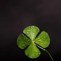 HOROSCOP 4 februarie este ziua în care Racii își suplimentează veniturile și Balanțele au noroc Foto? Pexels (fotografie cu caracter ilustrativ)