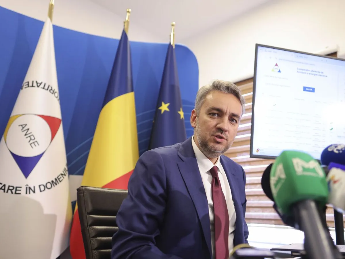 George Niculescu, preşedintele ANRE, în conferinţă de presă - Foto: INQUAM PHOTOS/Octav Ganea