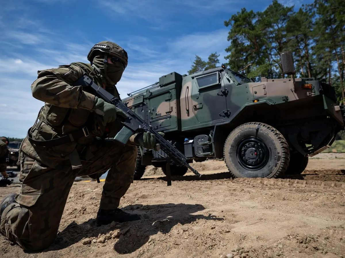 Militar polonez
