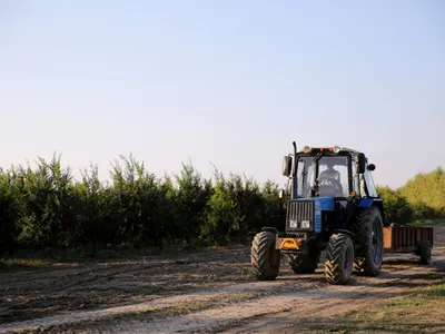 Tractor - Foto: Freepik