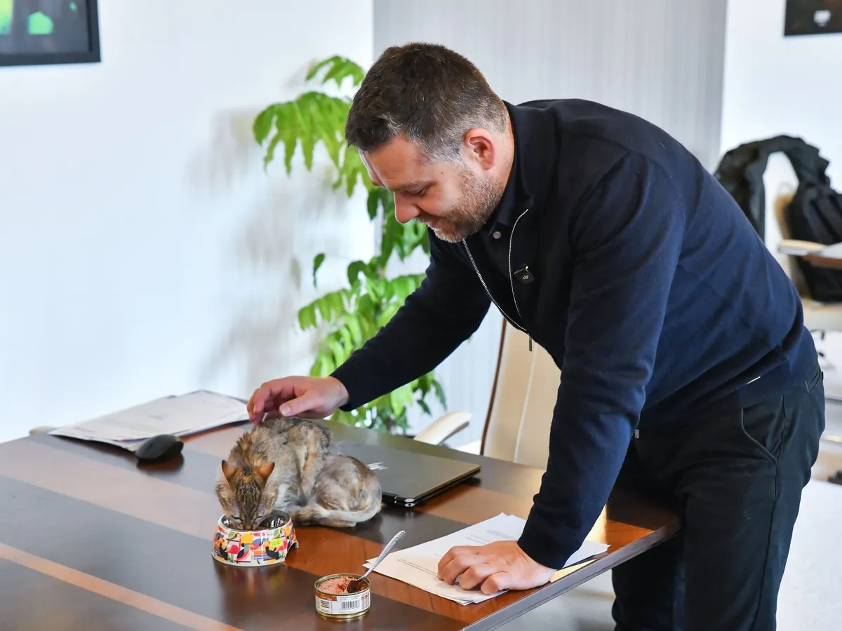 Ciprian Ciucu și pisica Cathy la primărie - Foto: Primăria Capitalei