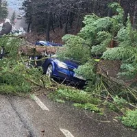 Un brad uriaș a căzut peste o mașină aflată în mers, la Azuga - Foto: ISU Prahova