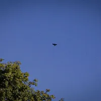 Dronele ruseşti care vor intra în spaţiul aerian al României vor fi doborâte - Foto: Profimedia Images (rol ilustrativ)