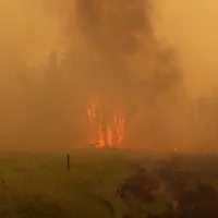 Incendiile din Siberia par scăpate de sub control. FOTO: Twitter
