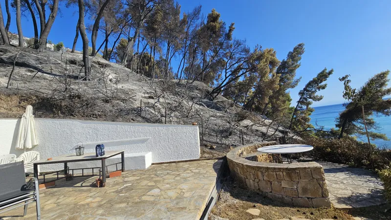 Cum arată epicentrul incendiului din Halkidiki la 3 zile după ce a fost stins - Foto: Newsweek Rom&acirc;nia