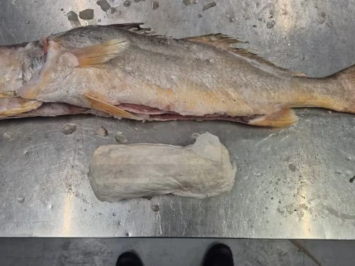 Captura de droguri - Foto: Politie.nl