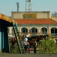 Un glonţ a fost găsit într-o gospodărie din Chilia Veche - Foto: Flickr/CarpathianLand