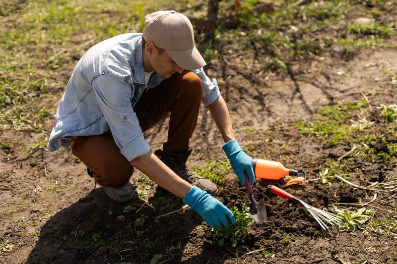 Bărbat care pune răsaduri în grădină - Foto: Freepik (rol ilustrativ)