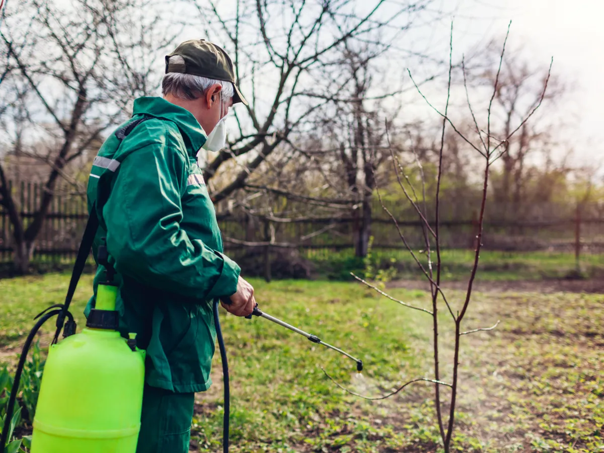 Bărbat care stropește pomii - Foto: Freepik (Imagine cu rol ilustrativ)